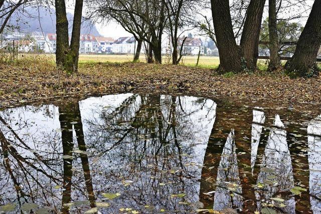 Mehr Parkraum im Belist