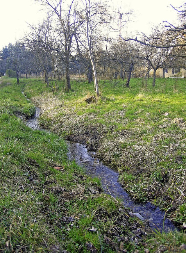 Noch pltschert der  alte  Mhlenkanal...eges, wo  er  zur  Entwsserung dient.  | Foto: ingeborg grziwa