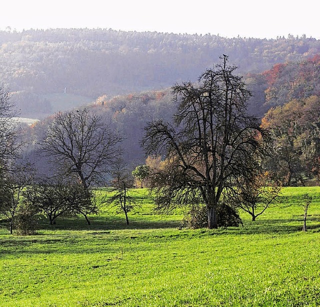 Der LEV Landkreis Waldshut hat momenta...rk Sdschwarzwald, Schwarzwaldverein).  | Foto: BZ