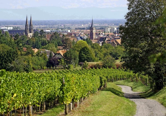 Ein Stdtchen mit langer Geschichte: Obernai im Elsass   | Foto: Verkehrsbro Obernai