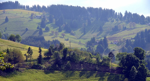 Die herrliche Landschaft  rund um Horb...sphrengebiet Sdschwarzwald gehren.   | Foto: Bury