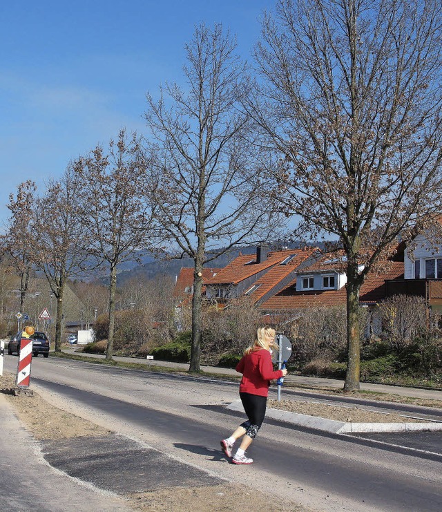 Die  Eichen am Ortseingang von Stegen ...ben. Der Gemeinderat stimmte dagegen.   | Foto: Andreas Peikert