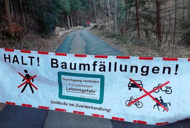 Die Missachtung von Absperrmanahmen b...rden, warnen Forstwarte und Holzhauer.  | Foto: WOLFGANG ADAM