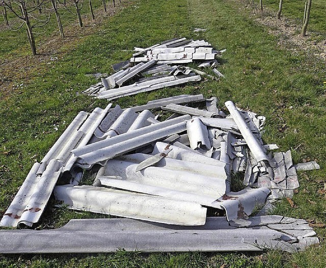 Endstation Kirschbaumanlage: Diese asb...i Knigschaffhausen illegal entsorgt.   | Foto: Polizei