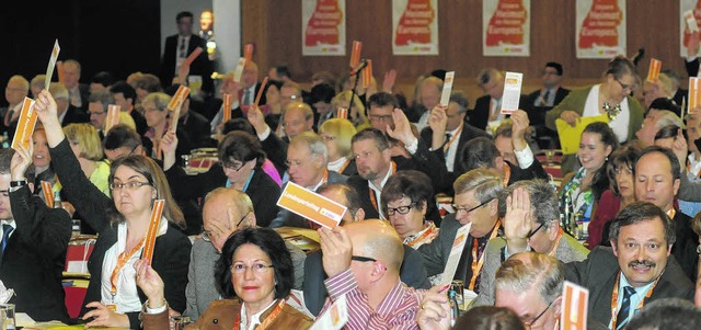 ber mehr als 100 Antrge hatten die D...teitag in Donaueschingen abzustimmen.   | Foto: Sprich