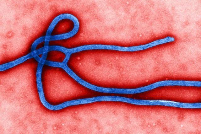 Mehrere Ebola-Verdachtsflle nun auch in Liberia