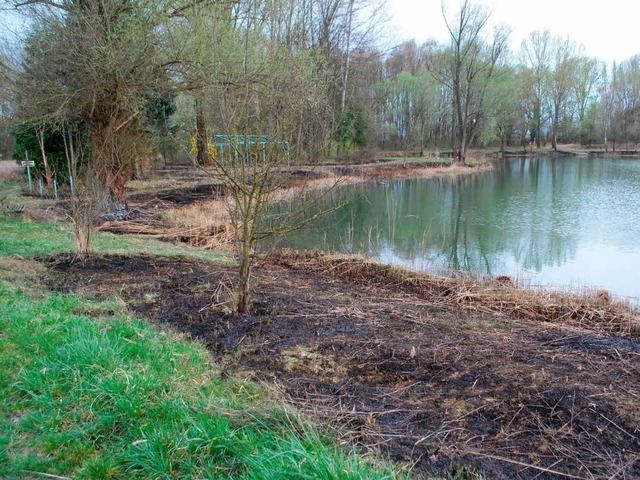 An einem Weiher im Krebsmhlenwinkel a...gebrannt. Jetzt ermittelt die Polizei.  | Foto: benjamin bohn