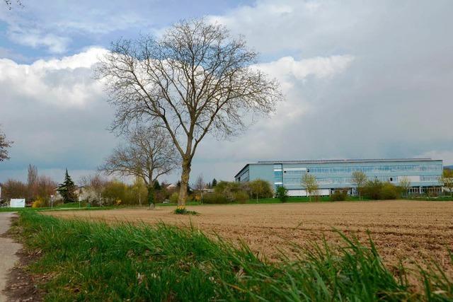 Grnes Licht fr Flchtlingswohnheim in der Nhe des Bad Krozinger Schulzentrums