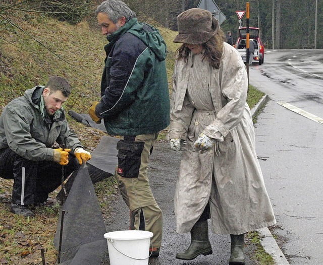 Ein Trupp Unentwegter stellte am Samst...g die Krtenzune am Klosterweiher auf  | Foto: Karin Stckl-Steinebrunner