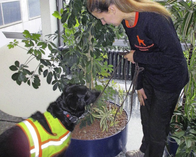 Nina Pfarr mit ihrer Labradorhndin Fina bei der Kfersuche.  | Foto: OUNAS