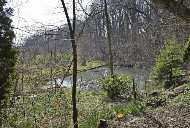 Ehemaliger Fischweiher am Fu des Tll...bellenart zur Ansiedlung anlocken.      | Foto: Nikolaus Trenz