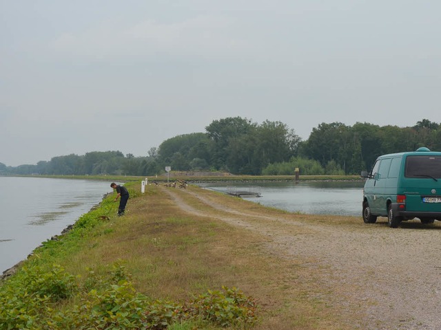 Die Leiche des erschossenen 32-Jhrige...ust 2013 am Rhein bei Honau entdeckt.   | Foto: christeleit