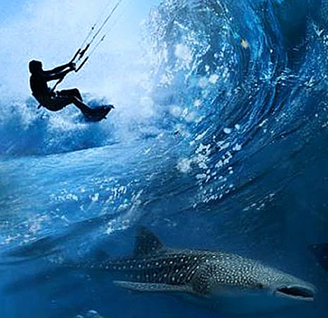 Faszination Meer: Eintauchen in die We...s Wassersports mit der Ocean Film Tour  | Foto: Veranstalter