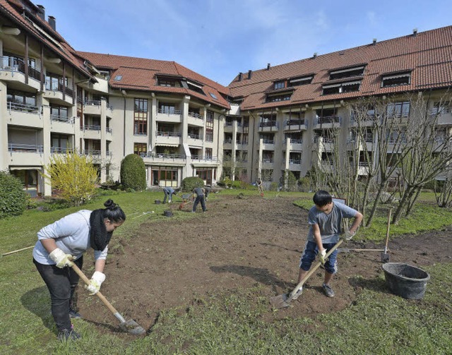 Statt Schule: Jugendliche graben die Rasenflche beim Augustinum um.  | Foto: Michael Bamberger