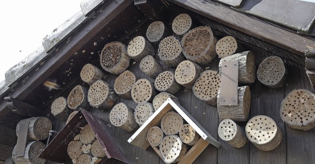 Weisweil. Es summt und brummt an diese...s angebrachten Wildbienen-Hotelanlage.  | Foto: Roland Vitt