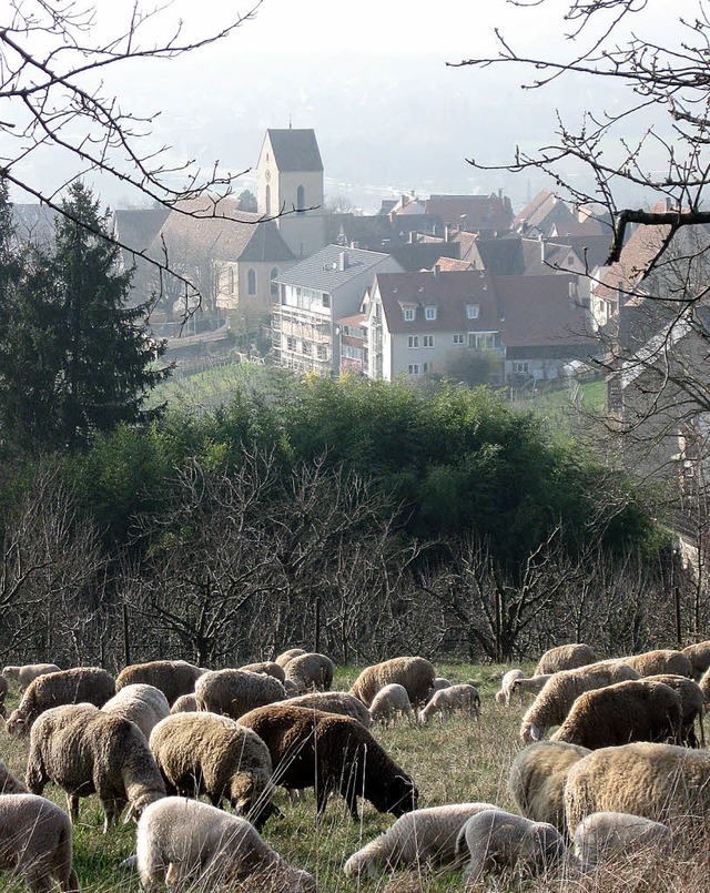 Historisch und beschaulich: tlingen wird 950 Jahre alt.   | Foto: privat