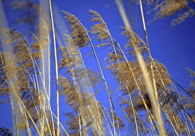   | Foto: Christoph Breithaupt, Christoph Breithaupt