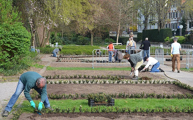 Freiwillige grtnern im Rosengarten  | Foto: Burgmaier Ralf