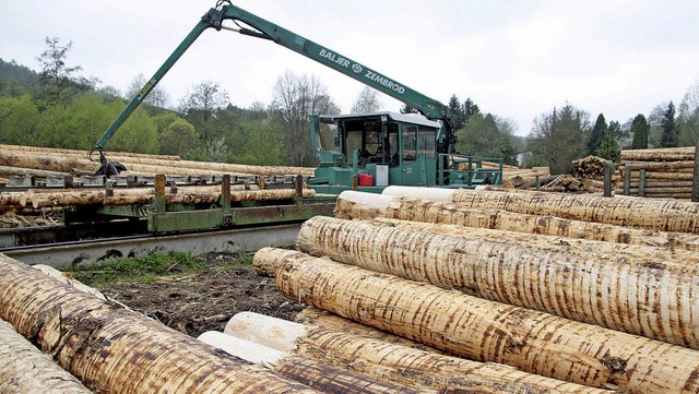Das Land will das Holz aller Waldbesit...211; das Verfahren  habe sich bewhrt.  | Foto: dpa