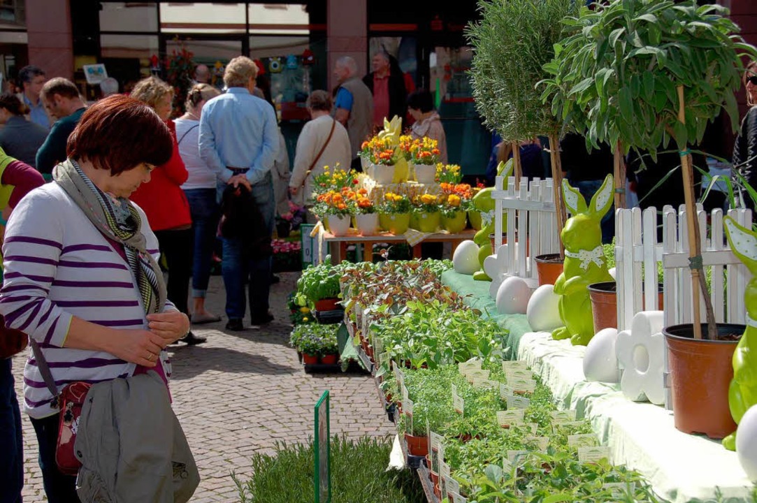 Die Besucher begutachteten die Frhlingsblumen.  | Foto: Andrea Steinhart