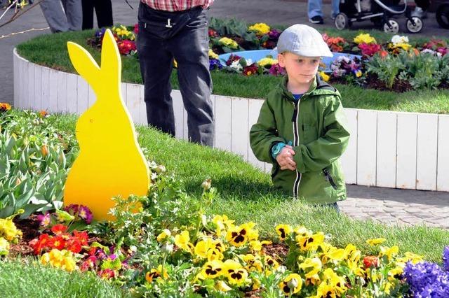 Fotos: Der Bltensonntag in Lahr