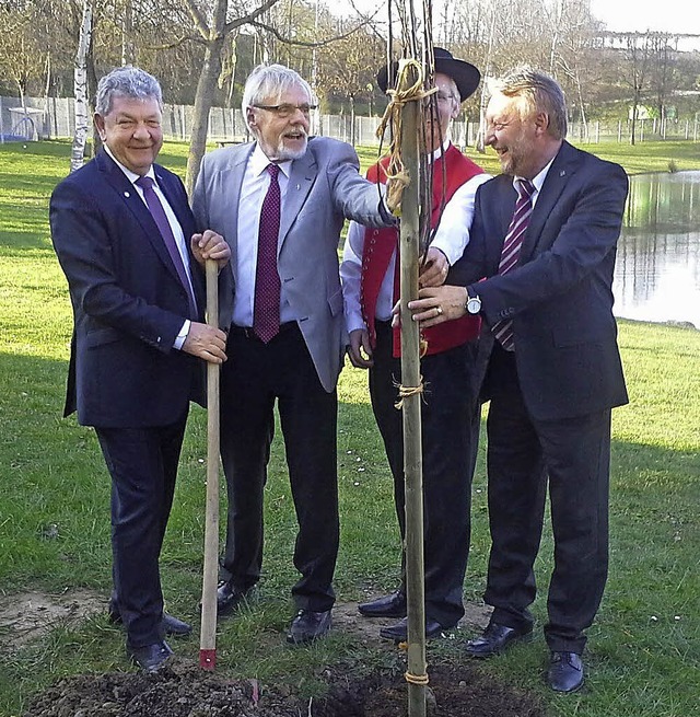 Zum Abschied  von Gnter  Gorecky als ...nbaum im Klimawandelgarten gepflanzt.   | Foto: Gemeinde