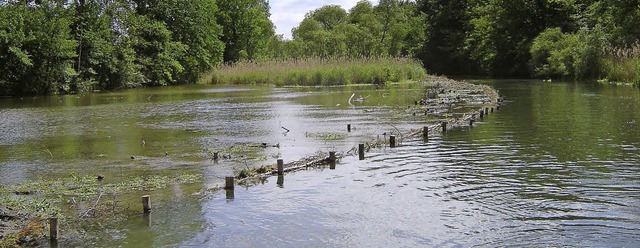 Wege fr den Familienausflug wurden be...Feinarbeiten sollen schon bald folgen.  | Foto: manfred hammes