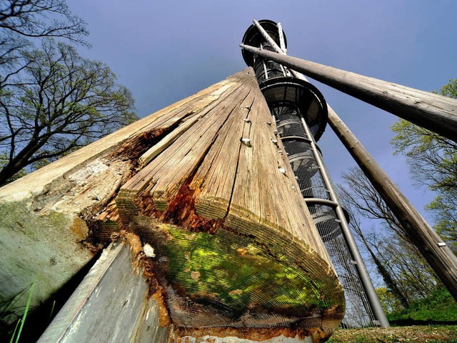 Es ist nicht das erste Mal, dass der z...bergturm von einem Pilz befallen ist.   | Foto: thomas kunz