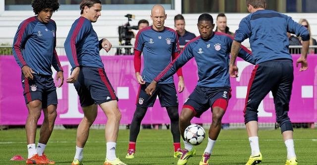 Die Bayern-Profis Dante, van Buyten, R...kic (von links) beim Abschlusstraining  | Foto: dpa