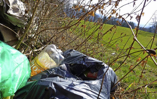 Rund um den Parkplatz Fllsberg auf Ge...ehmen an verschluckten Plastikteilen.   | Foto: archivbild: Sattelberger