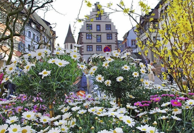 Blhendes Endingen mit geschmckten Br... und den Kaisersthler Naturheiltagen.  | Foto: G&H
