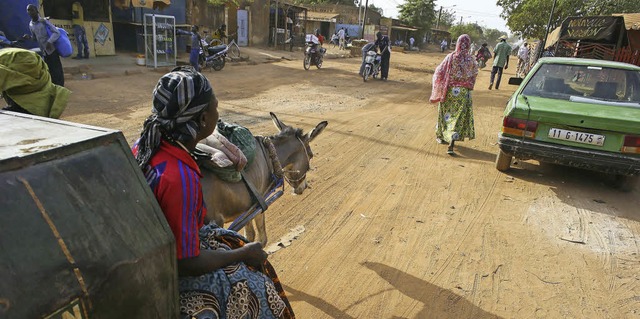 Eselkarren sind in Ouagadougou, der Ha...Anschaffung solcher Gefhrte geholfen.  | Foto: dpa