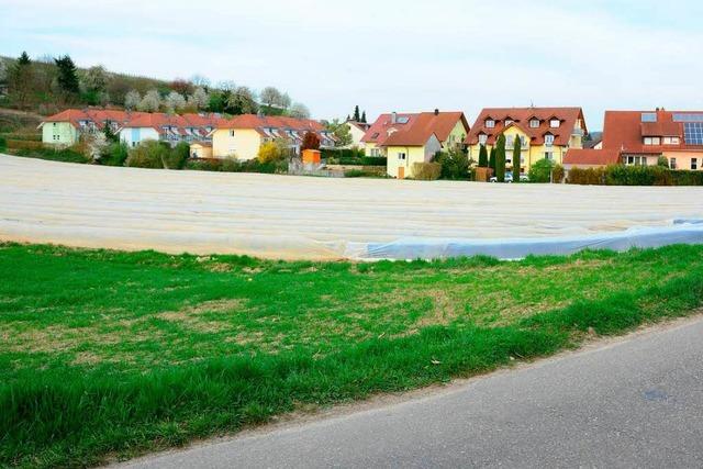 Supermarkt auf der grnen Wiese – Gegner bleiben skeptisch