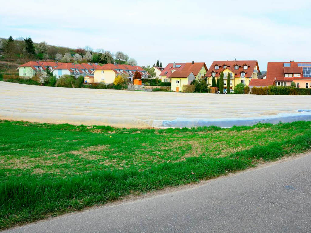 Supermarkt auf der grünen Wiese Gegner bleiben skeptisch