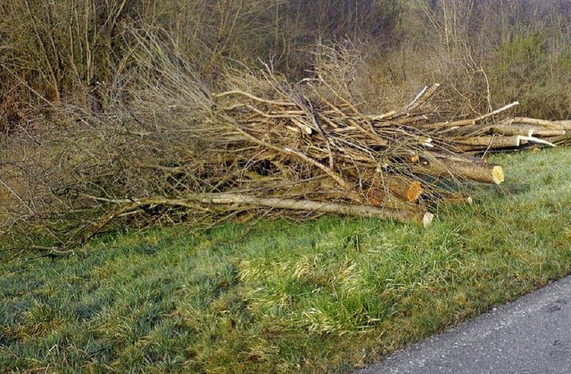 Wochenlang trmte sich  Grnschnitt au...dort womglich nistende Vgel sorgte.   | Foto: Privat