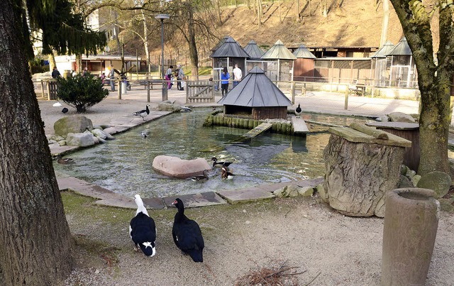 Rosenfelspark: Tiergehege und Kiosk. I...n wird, steht derzeit in den Sternen.   | Foto: Felix held