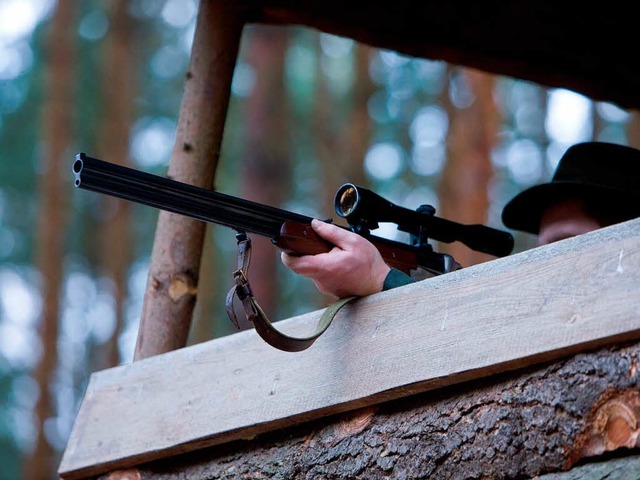 Debatten auf dem Hochsitz: Ist das neue Jagdgesetz sinnvoll?  | Foto: dpa