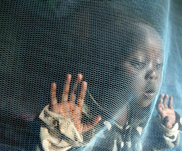 Bis auf Weiteres der beste Malaria-Schutz: das Mckennetz    | Foto: dpa/afp