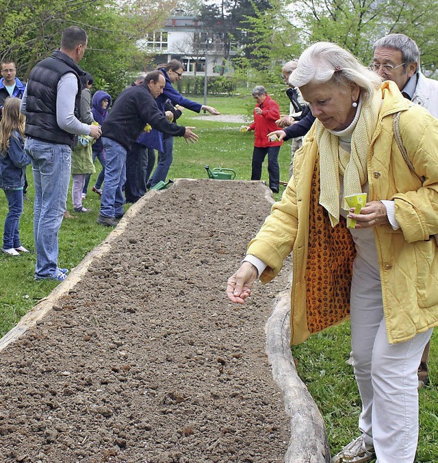 <Text>Bei der Aktion Urban Gardening w...rbereitete Pflanzbeet  gest. </Text>   | Foto: Albert Greiner
