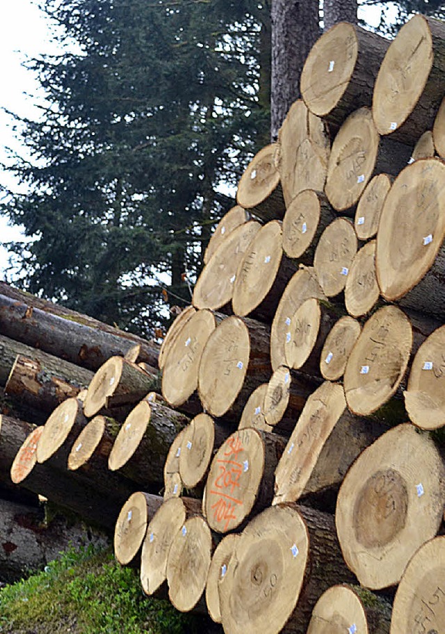 Der Gewinn aus dem Gemeindewald hat si...ber den Erwartungen fast verdoppelt.   | Foto: berger