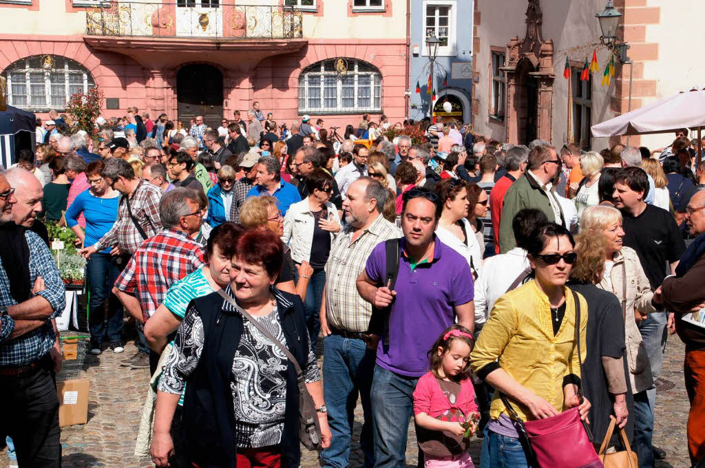 Blhendes Endingen und Antikmarkt : Am Sonntag drngten sich die Besucher in der Innenstadt.