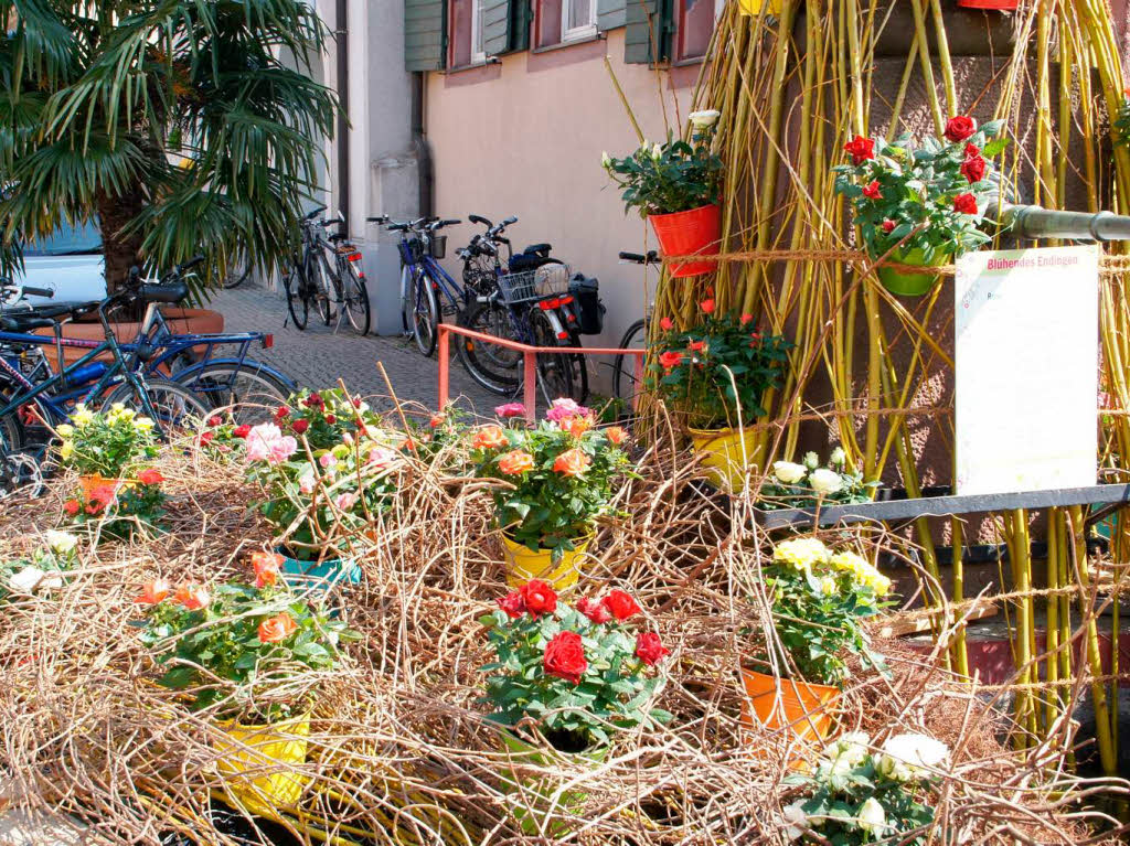 Blhendes Endingen und Antikmarkt: Liebevoll dekoriert waren die Brunnen in der Altstadt.