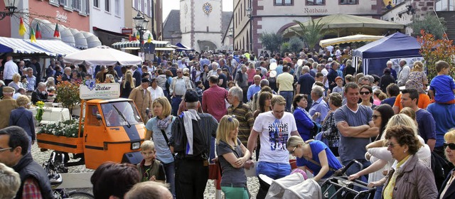 Bltensonntag und Antikmarkt in Endingen  | Foto: Ilona Huege