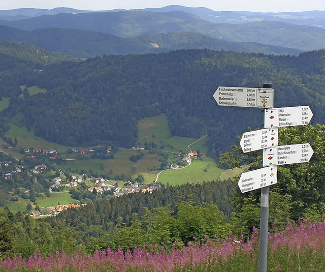 Um die Offenhaltung der Landschaft geht  es auch beim neuen Leader-Programm  | Foto: Rolf-Dieter  Kanmacher