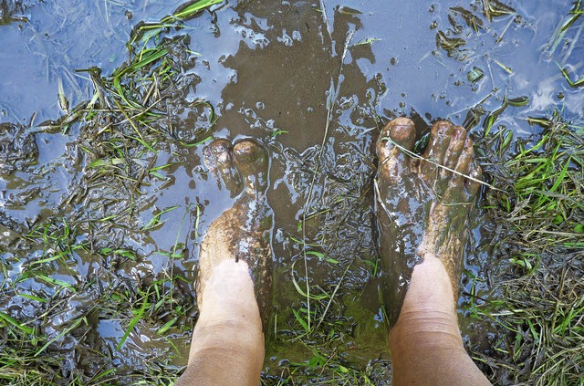<ppp></ppp> die Fe im Kuhfladen<ppp></ppp>  | Foto: Cornelia Weizenecker