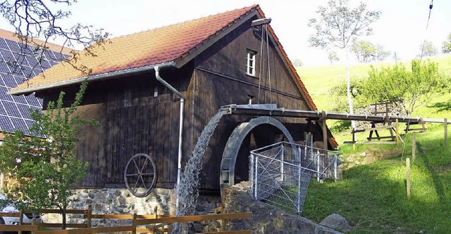 Zum Hof gehrt auch die Altenvogtsmhle.   | Foto: Maria Krkel