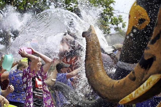 DUSCHE DER WOCHE