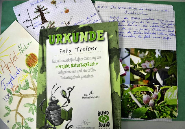 Fr sein Naturtagebuch ber den Apfelbaum hat Felix eine Urkunde erhalten.  | Foto: Alexander Preker