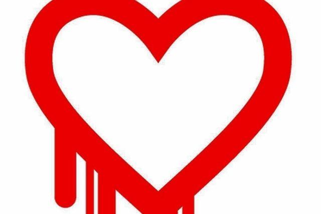 Heartbleed-Panne stellt Sicherheit des Internets in Frage