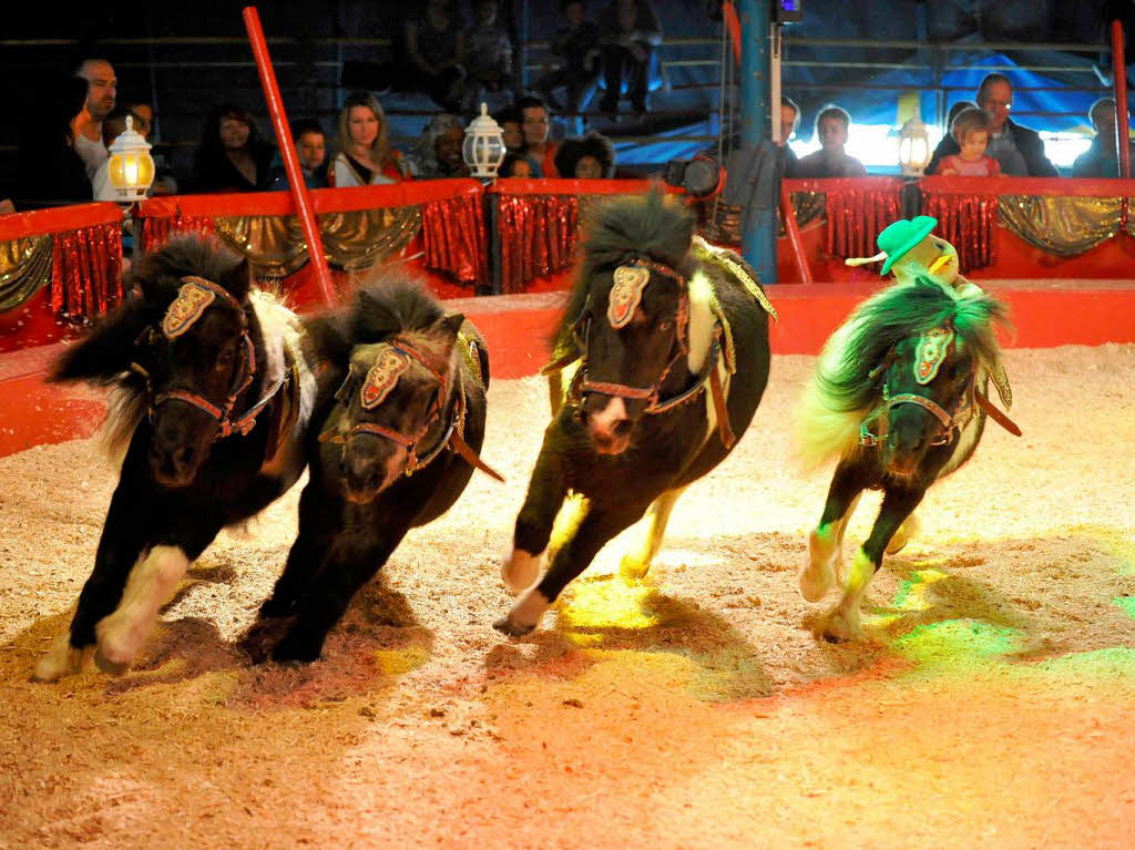 Der Zirkus Montana in Freiburg.